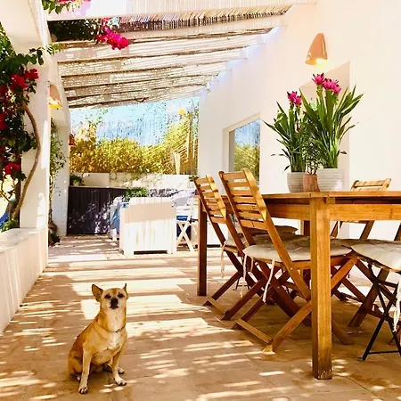 Casa Flor De La Vida By Delucaco * Altea