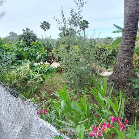 Casa Flor De La Vida By Delucaco Сasa de vacaciones