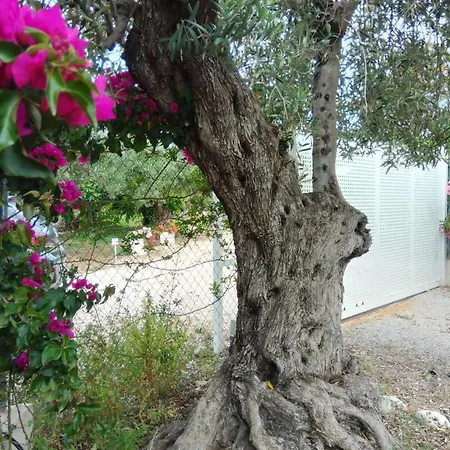 Casa Flor De La Vida By Delucaco Сasa de vacaciones